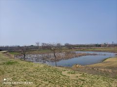 -盘龙城国家考古遗址公园