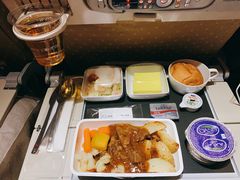 -新加坡航空公司(ION)
