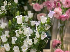 -杭州大厦LSE城市生活超市(杭州大厦店)