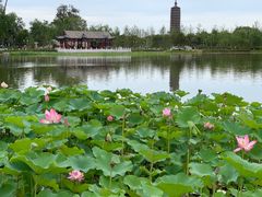 -西海子公园