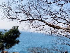 -青岛海滨风景区小青岛