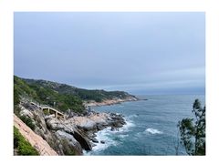 -广东惠东海龟国家级自然保护区