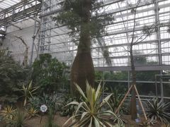 -南山植物园