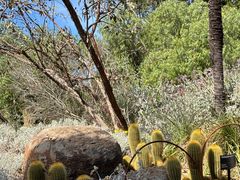 -墨尔本皇家植物园