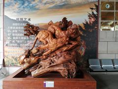 -陕西自然博物馆