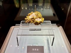 -安徽省地质博物馆