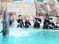 -新加坡水上探险乐园
