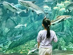 -哈尔滨波塞冬海底世界