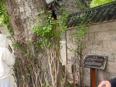 -青岛崂山太清宫