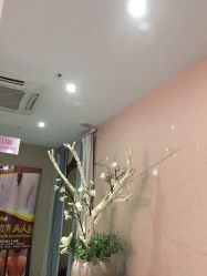 -唯伊美塑身美养连锁