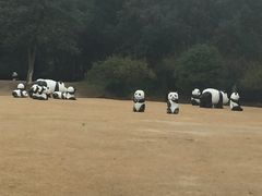 -白马涧龙池景区