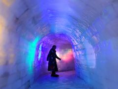 -梦幻奥陶纪景区