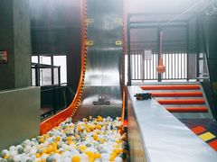 -嗨翻Hi-Fun竞技主题乐园·蹦床亲子生日轰趴(国光1937店)