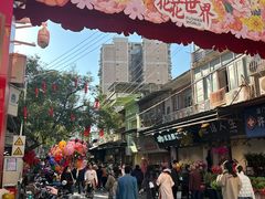 -溪岸路花鸟市场