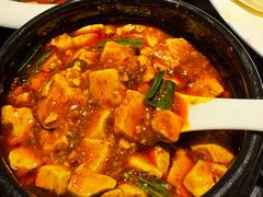 -陈麻婆豆腐总店