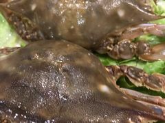 -吉友粥底火锅(方斜路店)