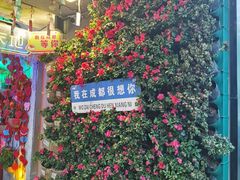 -春熙路步行街