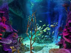 -沈阳海洋探索中心