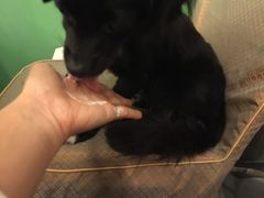 -中发源·清真餐厅(春风店)