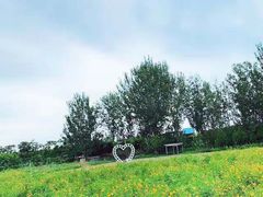 -北京东方普罗旺斯薰衣草庄园
