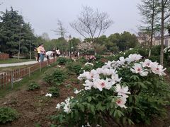 -江南大学(蠡湖校区)