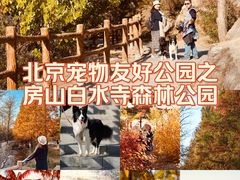 -白水寺森林公园