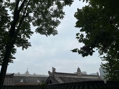 -成都动物园