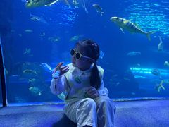 -太平洋海底世界