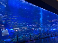 -成都浩海立方海洋公园