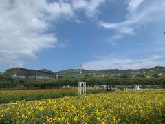 -盈香心动乐园