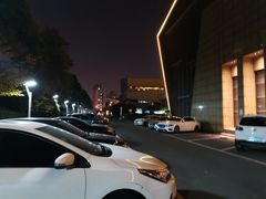 -常州环球恐龙城维景国际大酒店