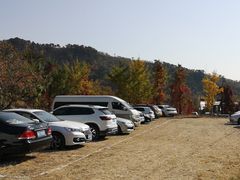 -遵化市禅林寺古银杏风景园