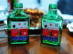 -苏力坦新疆特色(东直门店)