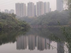 -重庆彩云湖湿地公园