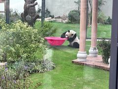 -无锡动物园·太湖欢乐园