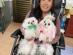 -小呆的宠物店·宠物售卖·宠物寄养(城西店)