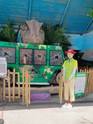 点击看大图 -宝燕乐园(闵行旗舰店)