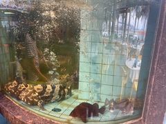 -新金盛·海鲜酒楼(盐田店)