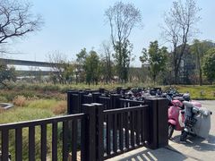 -神仙树公园