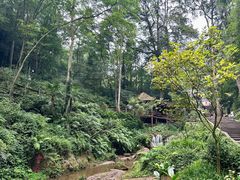 -青城山