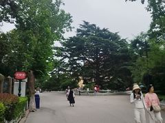 -青岛德国总督楼旧址博物馆