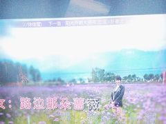 -温莎KTV(珠江路店)