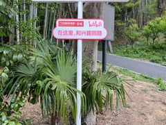 -冶父山国家森林公园