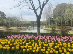 -上海鲜花港