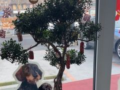 -东日国际动物医院·CT·心脏专科(桃源分院)