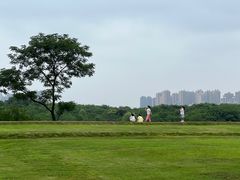 -盘龙城国家考古遗址公园