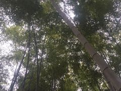 -杭州黄龙洞