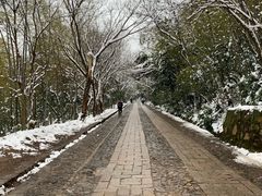 -紫金山索道-售票处