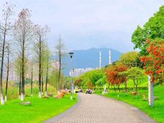 -飞来湖湿地公园