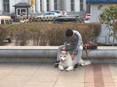 -圣·阿列克谢耶夫教堂